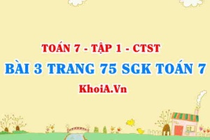 Bài 3 trang 75 SGK Toán 7 Chân trời sáng tạo tập 1